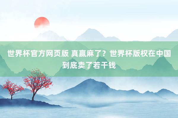 世界杯官方网页版 真赢麻了？世界杯版权在中国到底卖了若干钱