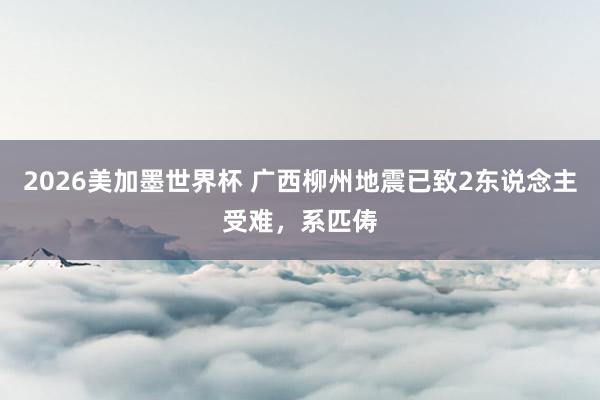 2026美加墨世界杯 广西柳州地震已致2东说念主受难，系匹俦