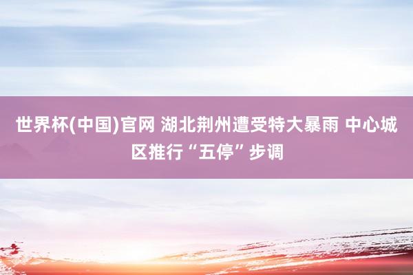 世界杯(中国)官网 湖北荆州遭受特大暴雨 中心城区推行“五停”步调