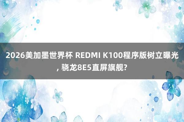 2026美加墨世界杯 REDMI K100程序版树立曝光， 骁龙8E5直屏旗舰?