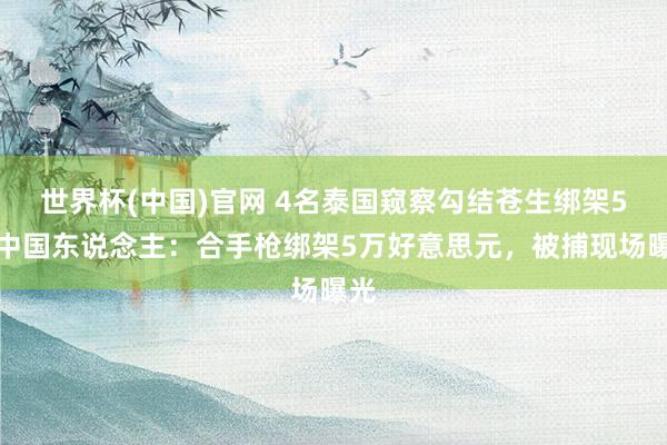 世界杯(中国)官网 4名泰国窥察勾结苍生绑架5名中国东说念主：合手枪绑架5万好意思元，被捕现场曝光