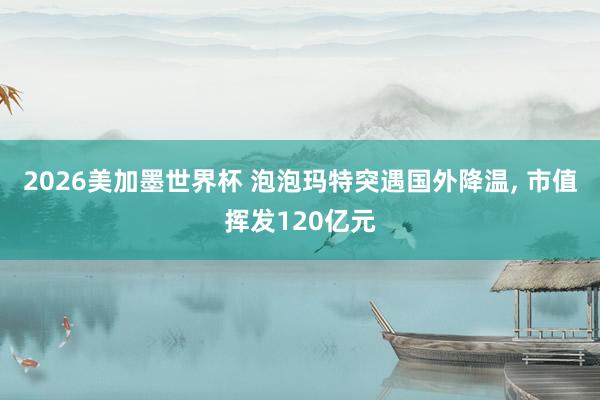 2026美加墨世界杯 泡泡玛特突遇国外降温， 市值挥发120亿元