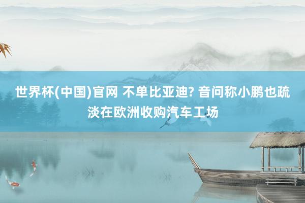 世界杯(中国)官网 不单比亚迪? 音问称小鹏也疏淡在欧洲收购汽车工场