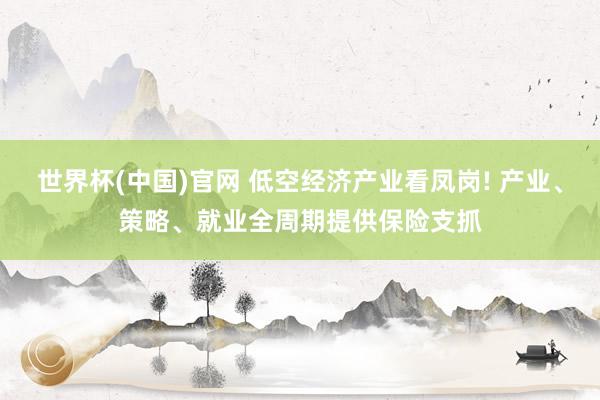世界杯(中国)官网 低空经济产业看凤岗! 产业、策略、就业全周期提供保险支抓