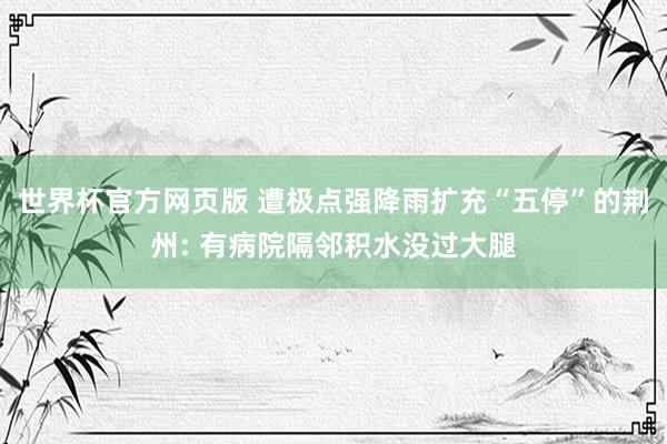 世界杯官方网页版 遭极点强降雨扩充“五停”的荆州: 有病院隔邻积水没过大腿