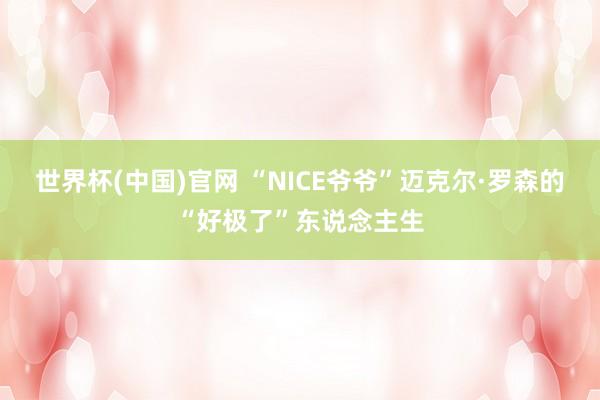 世界杯(中国)官网 “NICE爷爷”迈克尔·罗森的“好极了”东说念主生