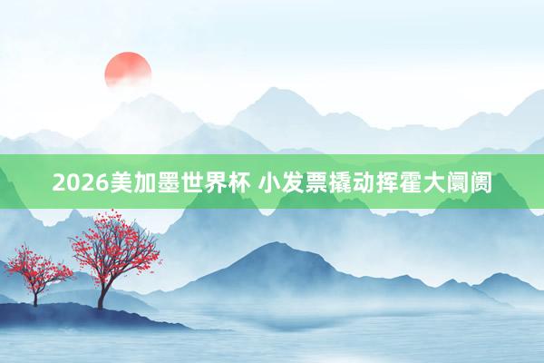 2026美加墨世界杯 小发票撬动挥霍大阛阓