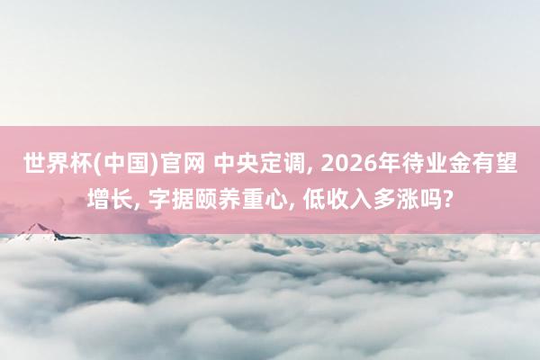 世界杯(中国)官网 中央定调， 2026年待业金有望增长， 字据颐养重心， 低收入多涨吗?