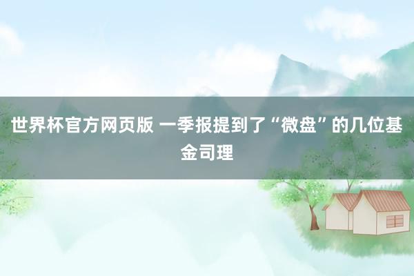 世界杯官方网页版 一季报提到了“微盘”的几位基金司理