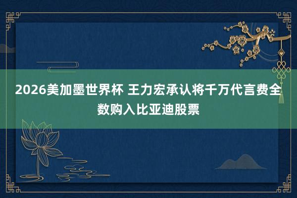 2026美加墨世界杯 王力宏承认将千万代言费全数购入比亚迪股票