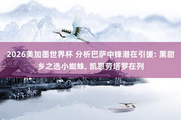 2026美加墨世界杯 分析巴萨中锋潜在引援: 黑甜乡之选小蜘蛛， 凯恩劳塔罗在列