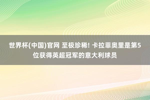 世界杯(中国)官网 至极珍稀! 卡拉菲奥里是第5位获得英超冠军的意大利球员