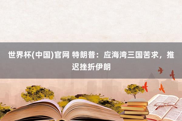 世界杯(中国)官网 特朗普：应海湾三国苦求，推迟挫折伊朗