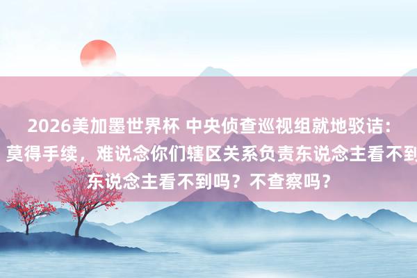 2026美加墨世界杯 中央侦查巡视组就地驳诘：这样高的塔吊，莫得手续，难说念你们辖区关系负责东说念主看不到吗？不查察吗？