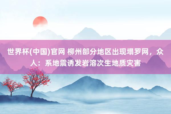 世界杯(中国)官网 柳州部分地区出现塌罗网，众人：系地震诱发岩溶次生地质灾害
