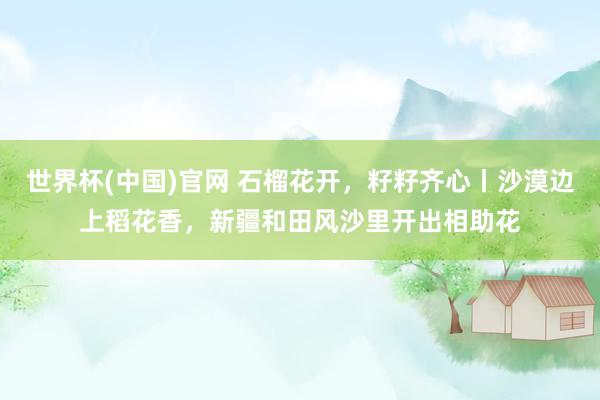 世界杯(中国)官网 石榴花开，籽籽齐心丨沙漠边上稻花香，新疆和田风沙里开出相助花