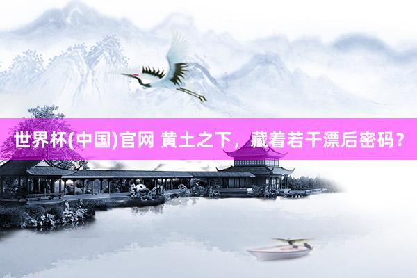 世界杯(中国)官网 黄土之下，藏着若干漂后密码？