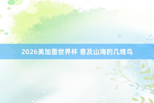 2026美加墨世界杯 普及山海的几维鸟