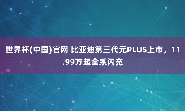 世界杯(中国)官网 比亚迪第三代元PLUS上市，11.99万起全系闪充