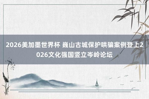 2026美加墨世界杯 巍山古城保护哄骗案例登上2026文化强国竖立岑岭论坛
