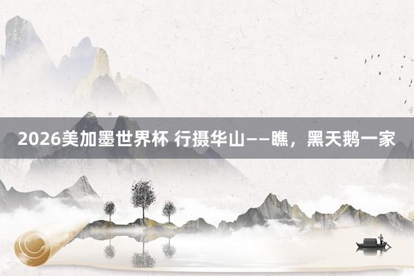 2026美加墨世界杯 行摄华山——瞧，黑天鹅一家
