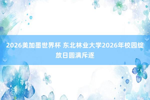 2026美加墨世界杯 东北林业大学2026年校园绽放日圆满斥逐