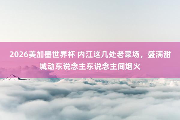2026美加墨世界杯 内江这几处老菜场，盛满甜城动东说念主东说念主间烟火