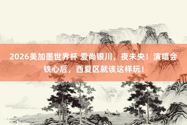 2026美加墨世界杯 爱尚银川，夜未央！演唱会铁心后，西夏区就该这样玩！