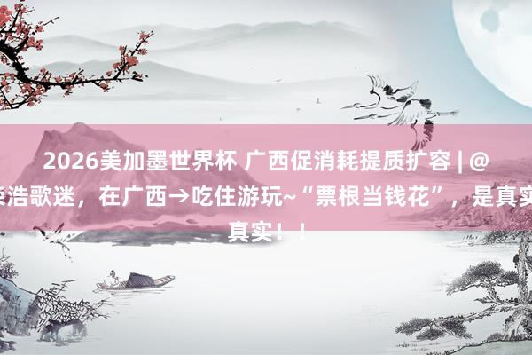 2026美加墨世界杯 广西促消耗提质扩容 | @李荣浩歌迷，在广西→吃住游玩~“票根当钱花”，是真实！！
