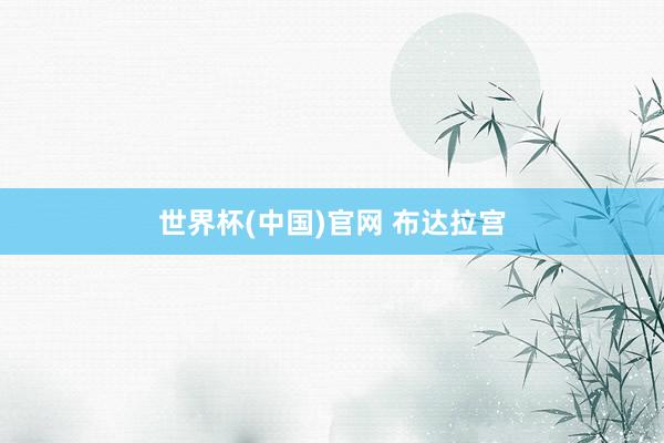 世界杯(中国)官网 布达拉宫