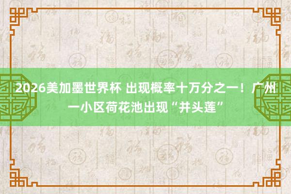 2026美加墨世界杯 出现概率十万分之一！广州一小区荷花池出现“并头莲”