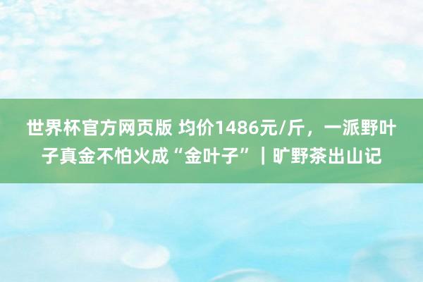 世界杯官方网页版 均价1486元/斤，一派野叶子真金不怕火成“金叶子”｜旷野茶出山记