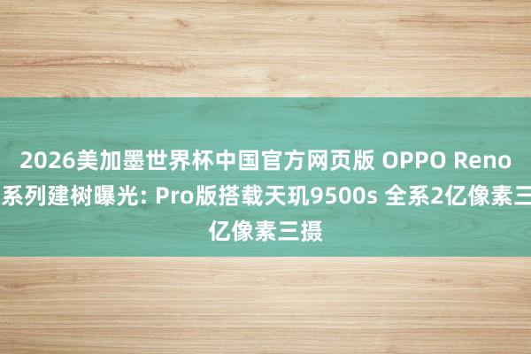 2026美加墨世界杯中国官方网页版 OPPO Reno16系列建树曝光: Pro版搭载天玑9500s 全系2亿像素三摄