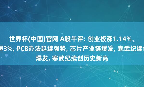 世界杯(中国)官网 A股午评: 创业板涨1.14%、科创50涨超3%， PCB办法延续强势， 芯片产业链爆发， 寒武纪续创历史新高