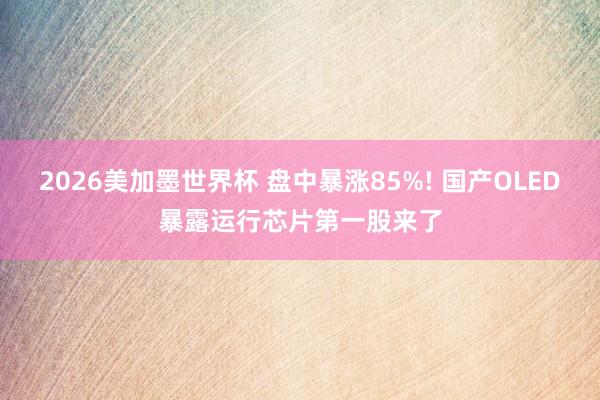 2026美加墨世界杯 盘中暴涨85%! 国产OLED暴露运行芯片第一股来了