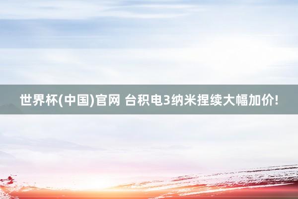 世界杯(中国)官网 台积电3纳米捏续大幅加价!