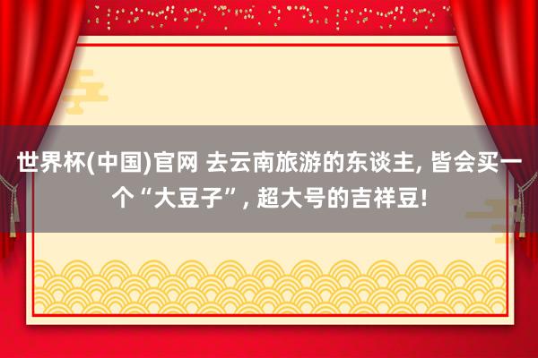 世界杯(中国)官网 去云南旅游的东谈主， 皆会买一个“大豆子”， 超大号的吉祥豆!