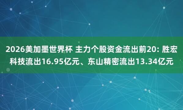 2026美加墨世界杯 主力个股资金流出前20: 胜宏科技流出16.95亿元、东山精密流出13.34亿元