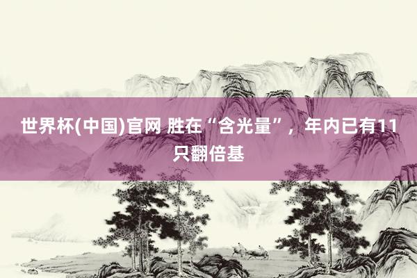 世界杯(中国)官网 胜在“含光量”，年内已有11只翻倍基
