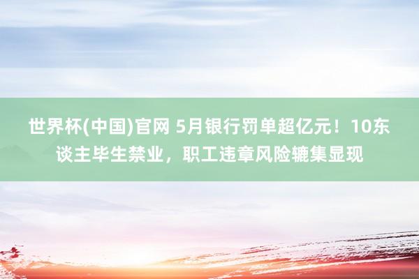 世界杯(中国)官网 5月银行罚单超亿元！10东谈主毕生禁业，职工违章风险辘集显现