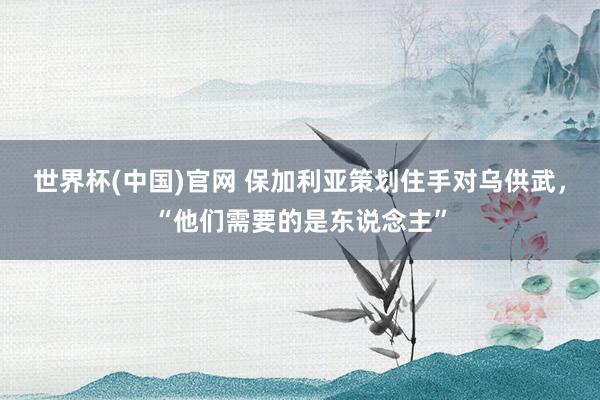 世界杯(中国)官网 保加利亚策划住手对乌供武，“他们需要的是东说念主”