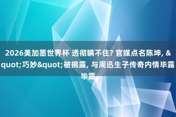 2026美加墨世界杯 透彻瞒不住? 官媒点名陈坤, "巧妙"被揭露, 与周迅生子传奇内情毕露