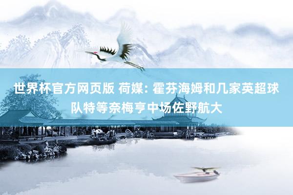 世界杯官方网页版 荷媒: 霍芬海姆和几家英超球队特等奈梅亨中场佐野航大