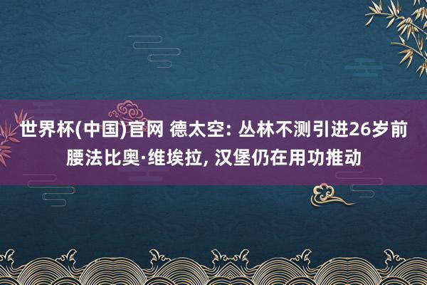 世界杯(中国)官网 德太空: 丛林不测引进26岁前腰法比奥·维埃拉， 汉堡仍在用功推动