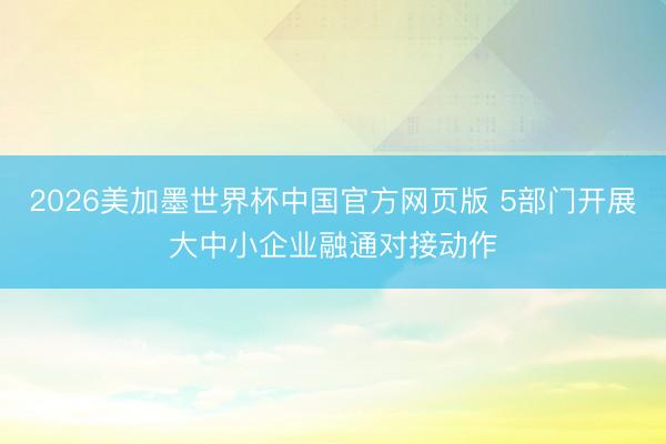 2026美加墨世界杯中国官方网页版 5部门开展大中小企业融通对接动作