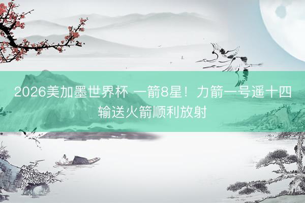 2026美加墨世界杯 一箭8星！力箭一号遥十四输送火箭顺利放射