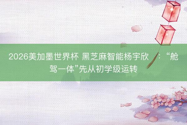2026美加墨世界杯 黑芝麻智能杨宇欣：“舱驾一体”先从初学级运转