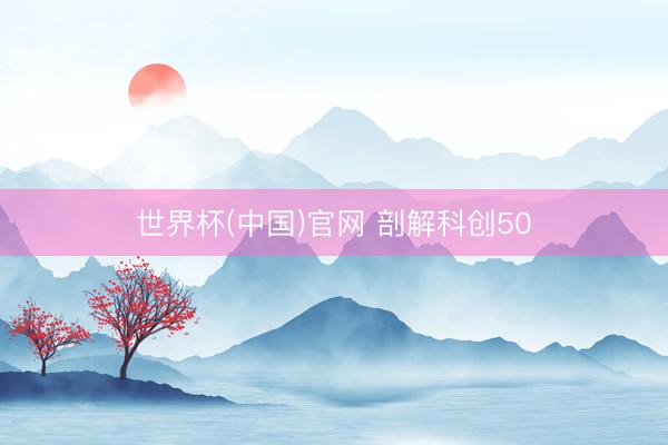 世界杯(中国)官网 剖解科创50