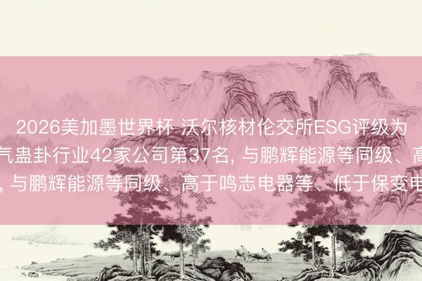 2026美加墨世界杯 沃尔核材伦交所ESG评级为D+, 位居GICS三级电气蛊卦行业42家公司第37名, 与鹏辉能源等同级、高于鸣志电器等、低于保变电气等